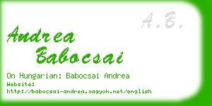 andrea babocsai business card